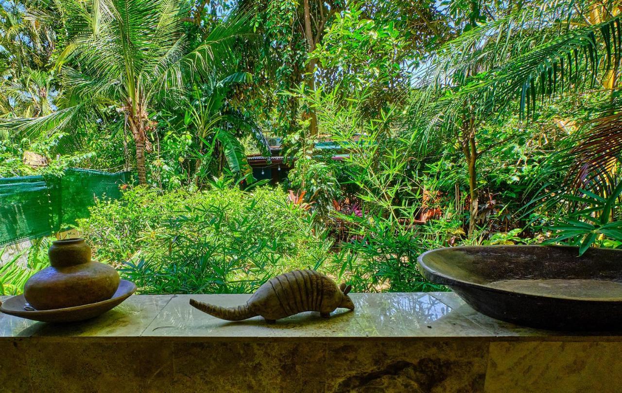 Casa Smilin' Dog Daire Tamarindo Dış mekan fotoğraf