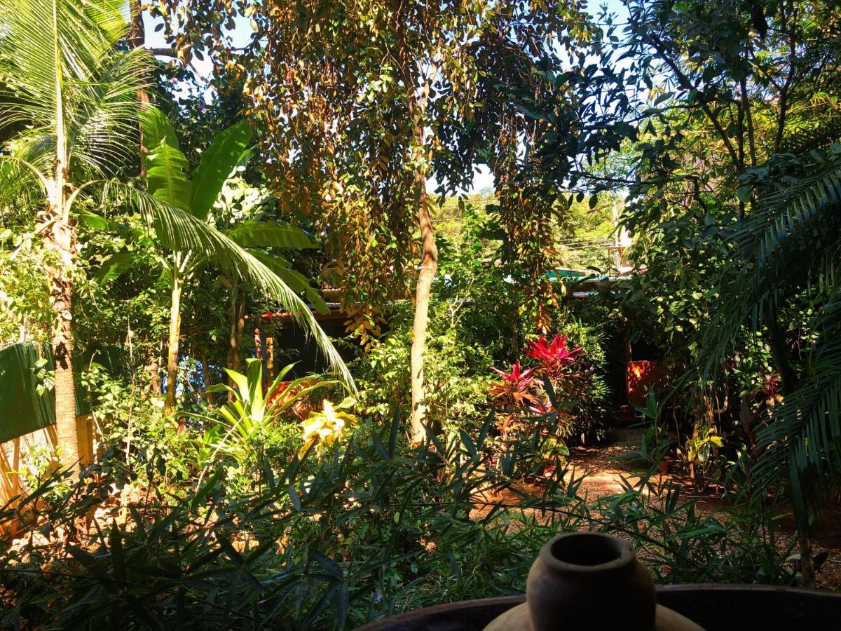 Casa Smilin' Dog Daire Tamarindo Dış mekan fotoğraf