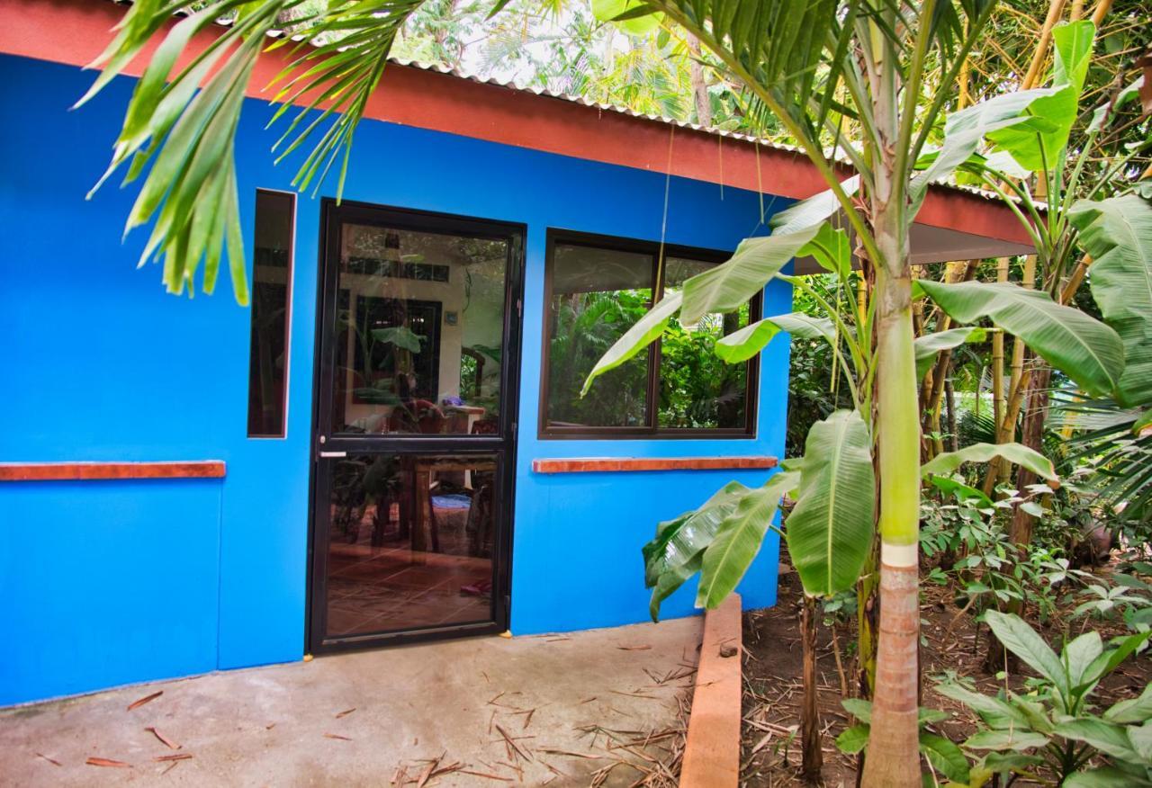 Casa Smilin' Dog Daire Tamarindo Dış mekan fotoğraf